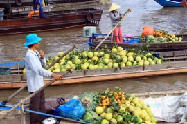 采朗水上市场（Chợ nổi Cái Răng）