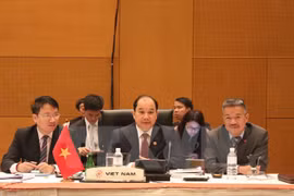 出席AEM 47的越南代表团（图片来源：越通社）