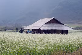 木州美景 （图片来源于网络）
