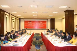 越南民族委员会代表团与老挝建国阵线中央委员会代表团举行会谈（图片来源：越通社）​ 