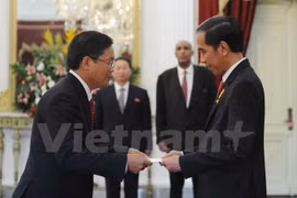 越南驻印度尼西亚大使黄英俊向印度尼西亚总统佐科·维多多递交国书（图片来源：越通社）
