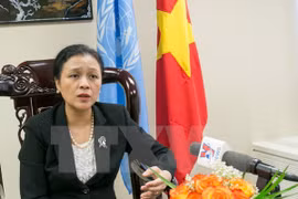 越南常驻联合国代表团团长阮芳俄大使