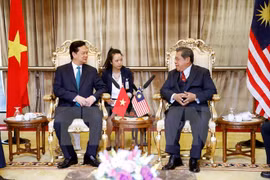 阮晋勇总理会见马来西亚下议院议长（图源：越通社）