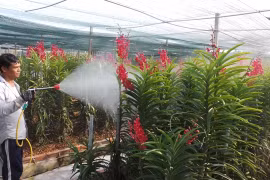 附图