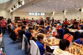 附图（图片来源于网络）