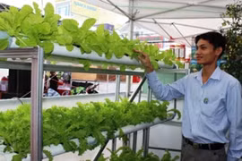 安全蔬菜种植设备展位（图片来源：越南人民报）