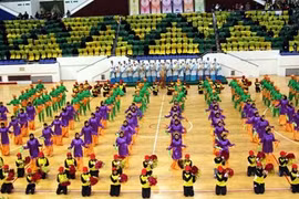 ​ 2015年东南亚学生体育运动会：越南代表队在奖牌榜上居第4位（图片来源于网络）