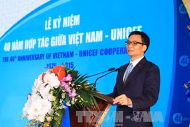 越南政府副总理武德儋。（图片来源：越通社）