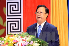 越南友好组织联合会主席武春鸿（图片来源：越通社）
