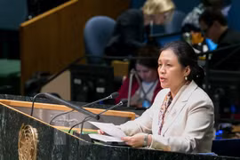 越南常驻联合国代表团团长阮芳娥大使在联合国一场一般性辩论会上发表讲话（图片来源：越通社）