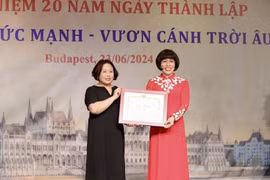 旅匈越南妇女协会会长潘碧善荣获外交部长授予的奖状。图自越通社