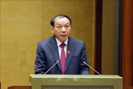 越南文化、体育和旅游部长阮文雄在会议上作计划相关呈文。图自越通社