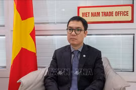 越南驻以色列商务参赞黎泰和。图自越通社