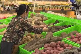 胡志明市多措并举保障居民生活物资供应