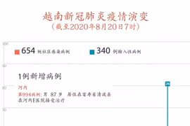 图表新闻：越南新冠肺炎疫情演变