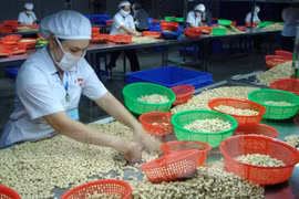 EVFTA为越南农产品进军欧盟市场敞开大门