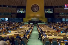 越南当选第77届联合国大会副主席