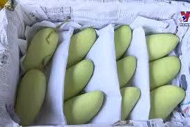 越南力创良机让水果出口美国市场