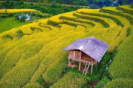 组图：高平省美丽而尚未开发的旅游景点