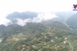 穿过崇山峻岭来感受山-伯-梅的文化底蕴