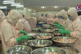 国际社会看好越南经济2022年发展前景