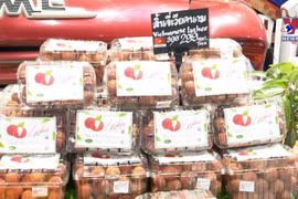 越南北江新鲜荔枝出现在泰国大型购物中心货架上