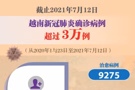 图表新闻：越南新冠肺炎确诊病例超过3万例