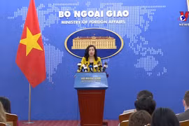 越南外交部对中国颁发的东海禁渔通告表示强烈反对