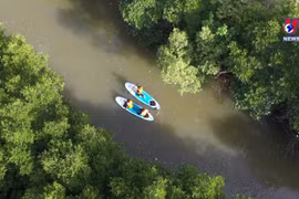 将芹耶打造成海洋旅游之地