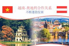 图表新闻：越南-奥地利合作关系不断蓬勃发展