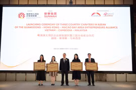 进一步加强中国粤港澳大湾区与越南等东盟各国企业家合作对接