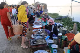 沉浸在三江泻湖黎明的美丽中 了解渔民的生活
