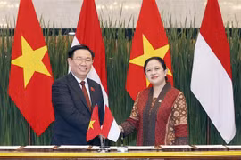 越南国会主席王廷惠与印尼国会议长普安举行会谈