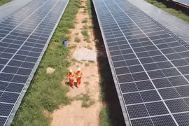越南能源部门设定温室气体减排 17-26% 的目标