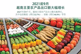 图表新闻：2021年前9月越南主要农产品出口额大幅增长