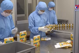 越南药材对日本市场出口潜力巨大