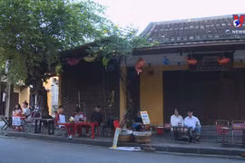 广南省两处世界文化遗产开放接待游客