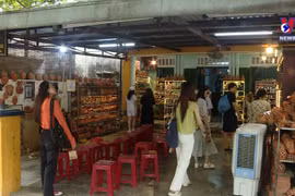 会安市申请加入联合国教科文组织全球创意城市网络