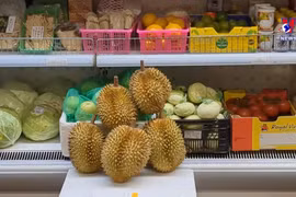 英国是越南榴莲的潜在出口市场
