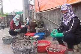 新冠肺炎疫情持续蔓延 水产品销售渠道不畅通