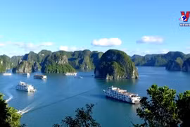下龙湾遗产保持绿色-清洁-美丽的旅游胜地的地位