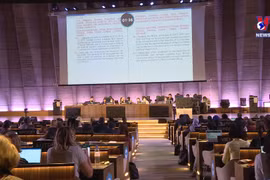 越南当选UNESCO保护非物质文化遗产政府间委员会委员