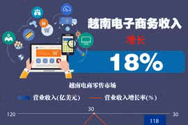 图表新闻：越南电子商务收入增长18%