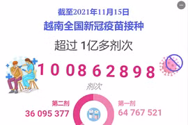 互动图表：截至2021年11月15日越南全国新冠疫苗接种超过1亿多剂次