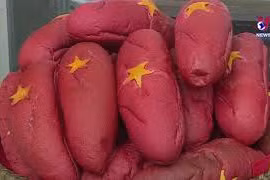 岘港市充满人情味的“爱国面包”