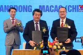 越南与香港-广东-澳门商业合作研讨会助力促进双方投资合作