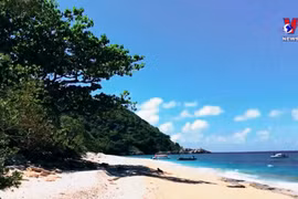 为越南南部旅游业发展注入新动力