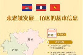 图表新闻：柬老越发展三角区的基本信息