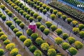 沙沥花村亮相中国央视脸书