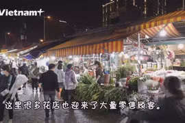 鲜花迎来‘妇女节’ 河内市最大花卉市场香正浓